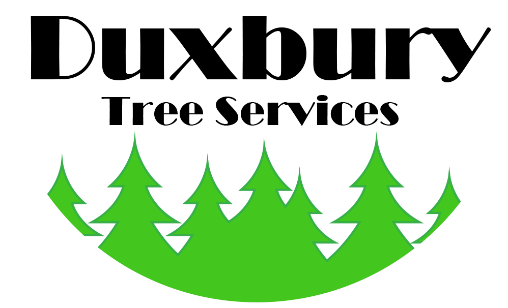 Southeast Arborist, LLC